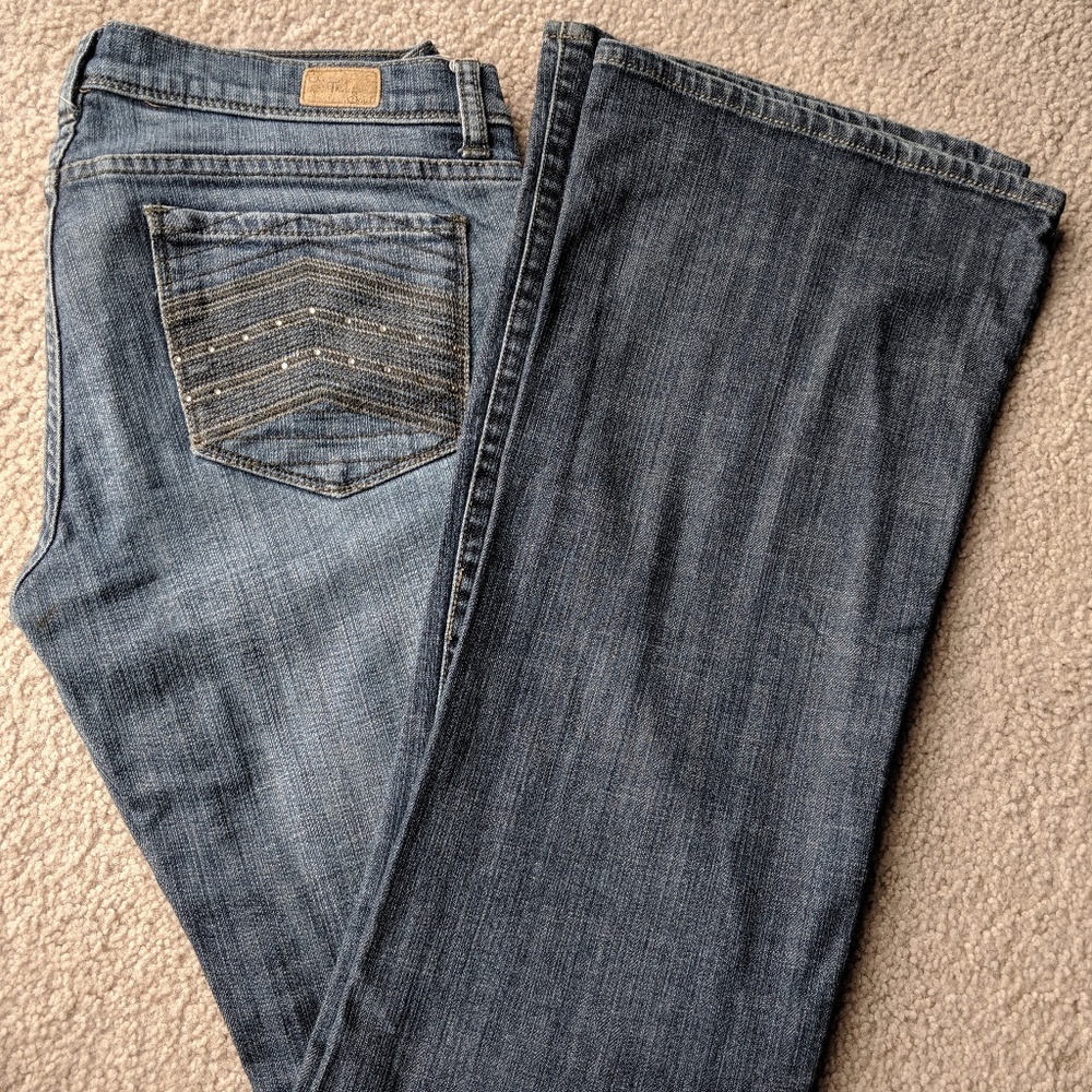 EUC See Thru Soul - I Am Dino Flare - Size 29